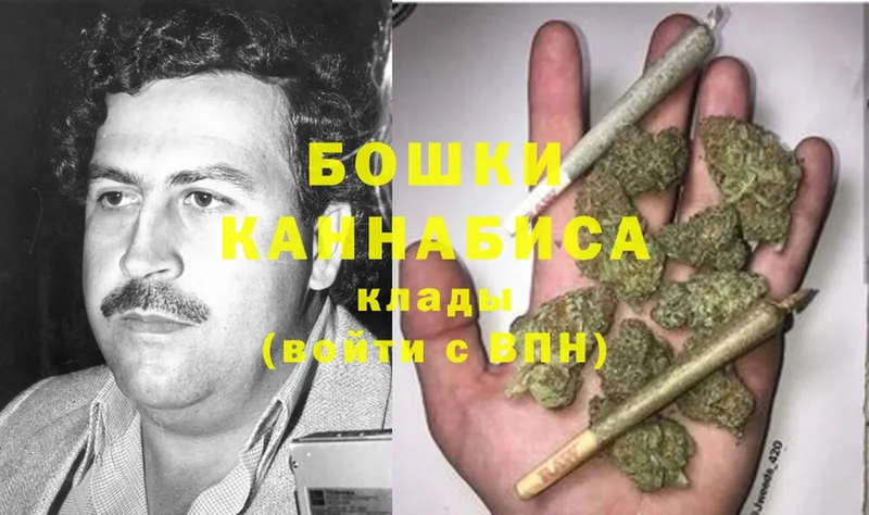 где купить наркотик  Петровск  Марихуана White Widow 